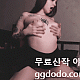https://dogjoa82.net/data/file/aveu/thumb-1385793329_5io78DuT_57a51aa44197876935c6a96bf12e287b9b3ad753_80x80.gif