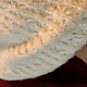 https://dogjoa82.net/data/file/best/thumb-15793707056897_80x80.png