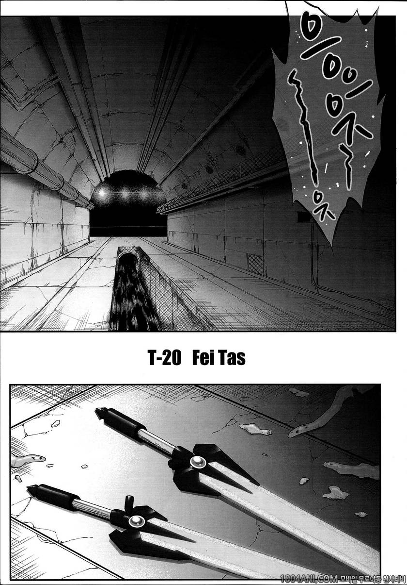 (C86) [サイクロン (冷泉, 和泉)] T-20Fei Tas#1 (魔法少女リリカルなのは)_by 망가 이미지 #4
