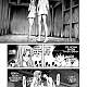 https://dogjoa82.net/data/file/manga/thumb-16667544033847_80x80.jpg