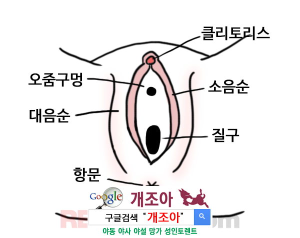 여성성기에 관한 몇가지 사실들 이미지 #2