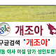 https://dogjoa82.net/data/file/study/thumb-15916620204625_80x80.png
